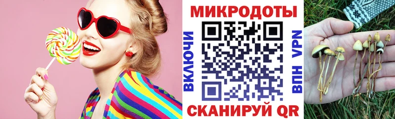 Псилоцибиновые грибы GOLDEN TEACHER  Ярославль 