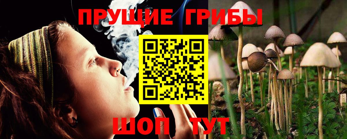 Ярославль  Галлюциногенные грибы мицелий  Вход с VPN 